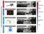 Coarse-to-fine uncertainty reduction for robotic disc cutter grasping in TBM maintenance
