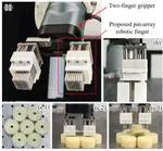 Clearance-Adaptive Grasping of Clustered Objects Using Pin-Array Robotic Fingers Under Uncertainty